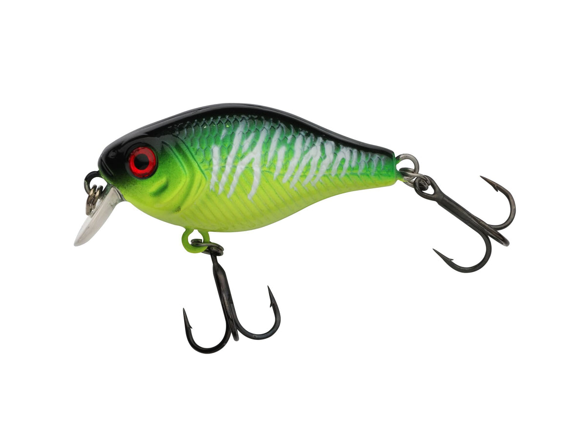 Berkley Pulse Fry Shallow – BerkleyPulseFryShallow_1571667.jpg