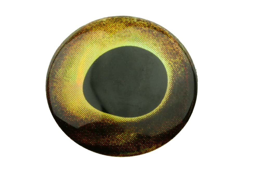 Living Eyes - EARTH