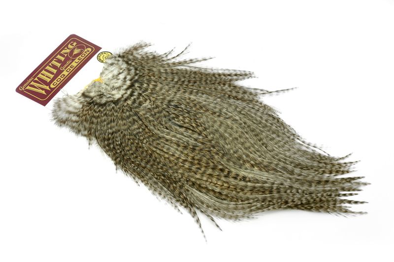 Whiting Coq de Leon Rooster Saddle – Gold – dealerweb-cms-6e5f9159-b003-4829-82b8-3fe5e49ec6b3.jpg