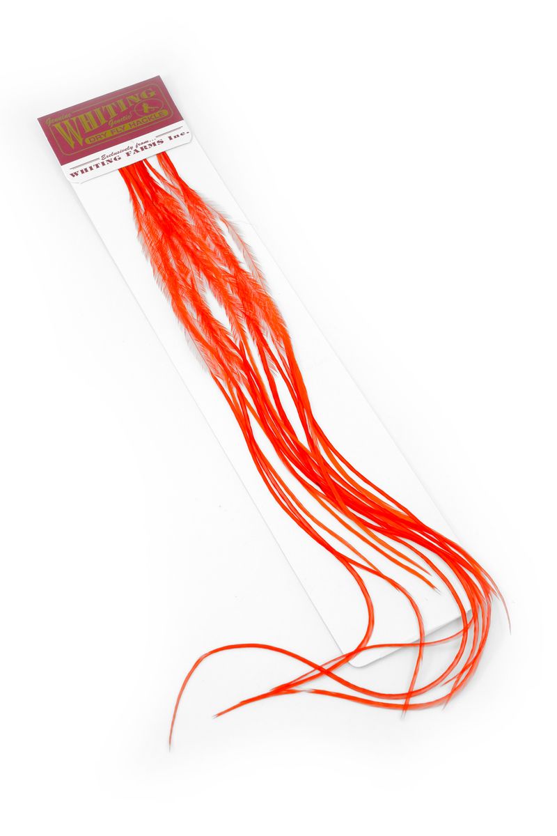 Whiting 100-pk – Size 20 – dealerweb-cms-eca3b7a6-9963-4020-8571-8ff2e55607fd.jpg