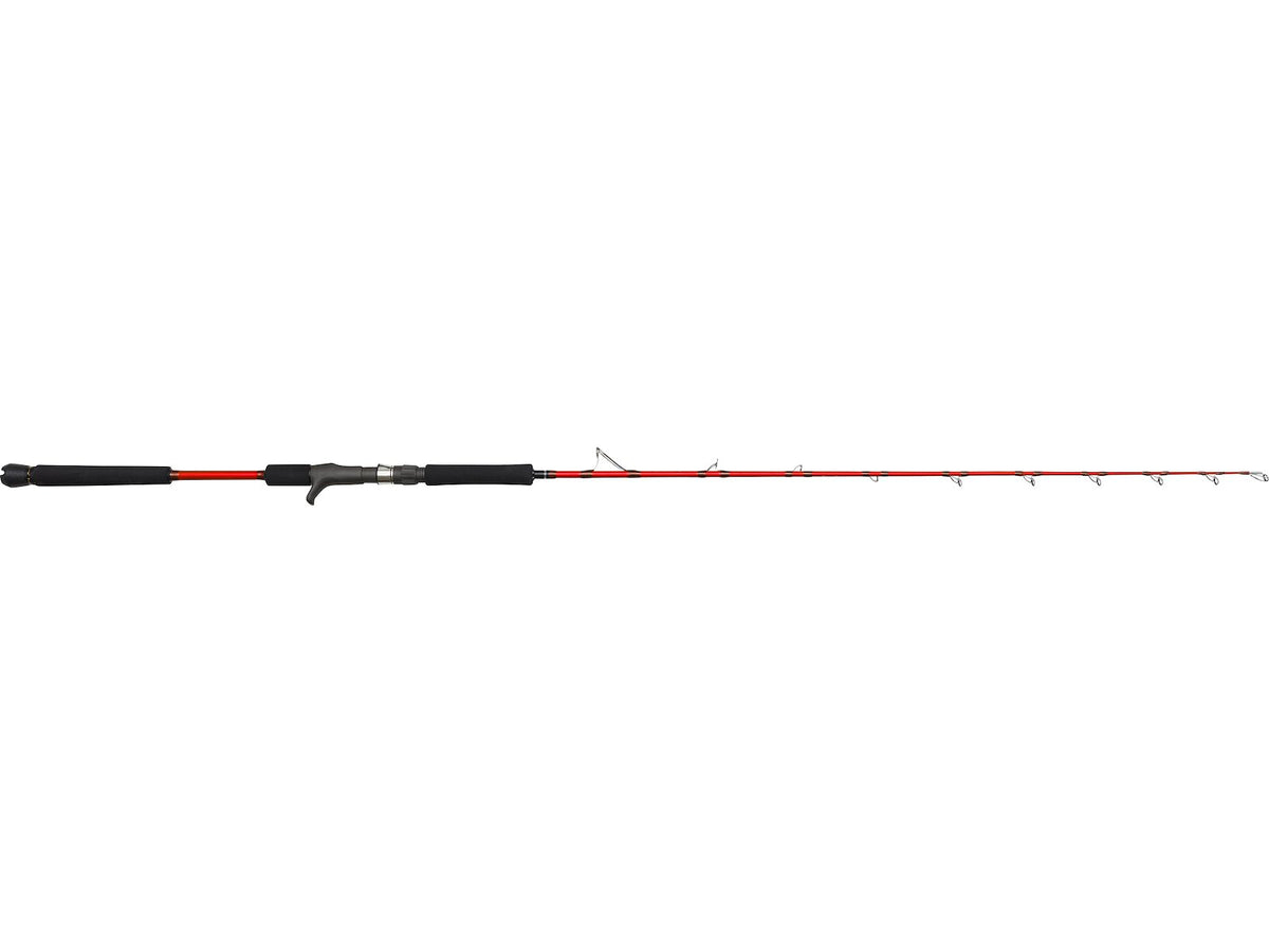 w646_w6-boat-t-baitfish_headline.jpg