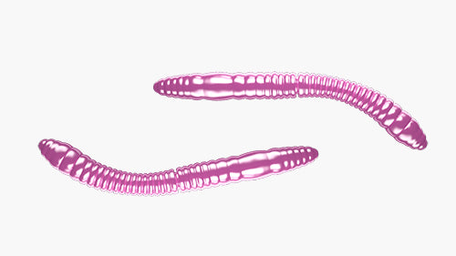 Libra Lures Fatty D'Worm Tournament - 55mm