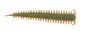 Berkley Gulp!® Saltwater Sandworm â€“ 1130716.jpg
