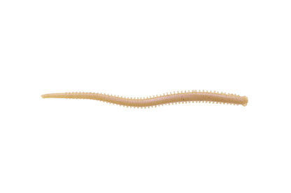 Berkley Gulp!® Saltwater Isome Futomi â€“ 1522988.jpg