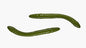 Libra Lures Fatty D'Worm Tournament - 55mm