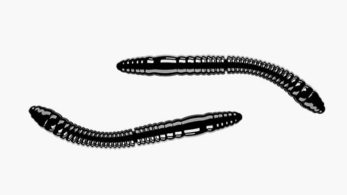 Libra Lures Fatty D'Worm Tournament - 55mm