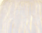 410102_web.jpg