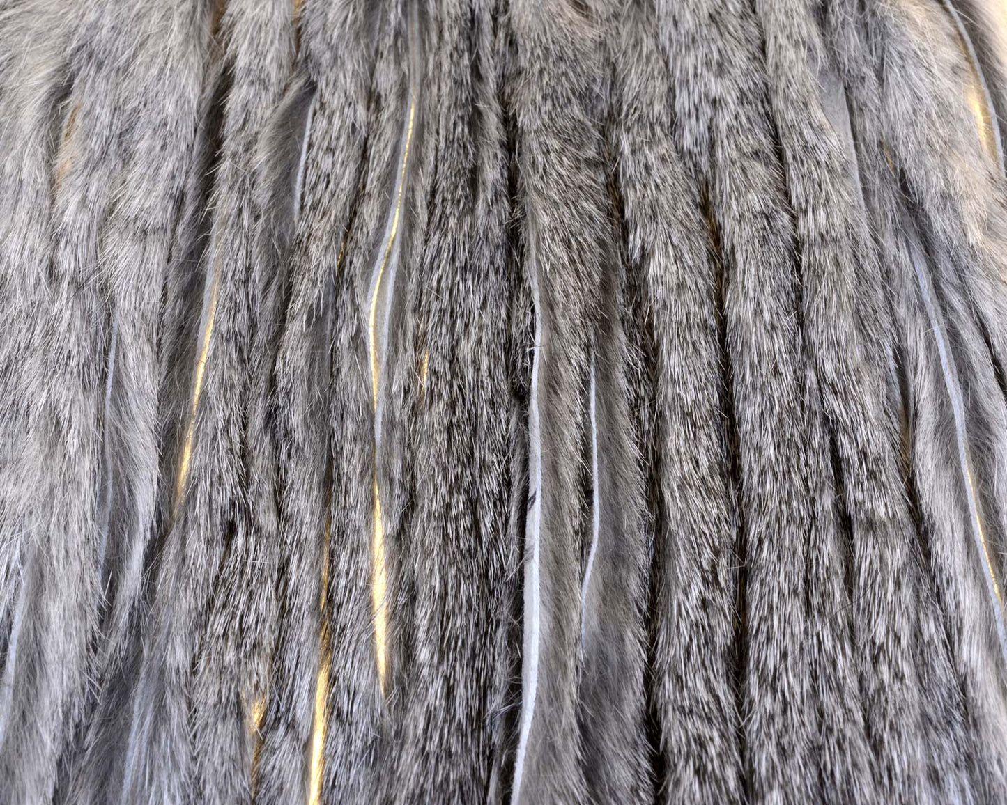 410109_web.jpg