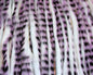 410404_web_073ac4e9-b60b-49c4-8bd9-5fa1d14fe8cc.jpg
