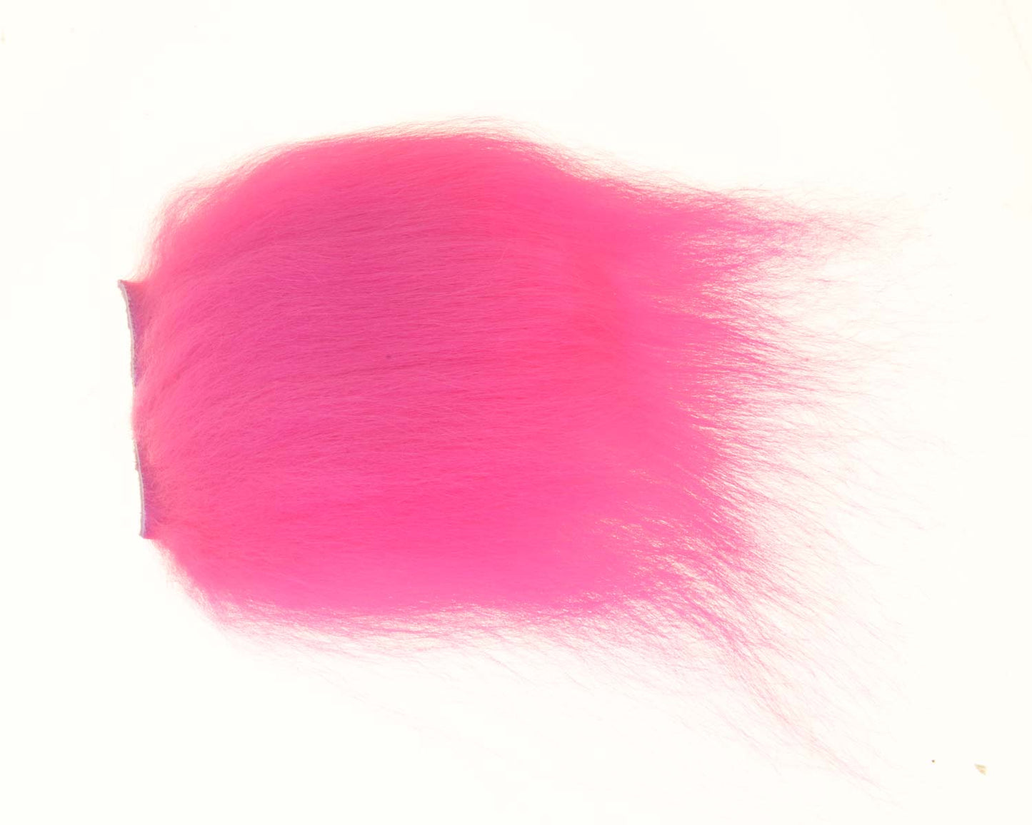 430516_web.jpg