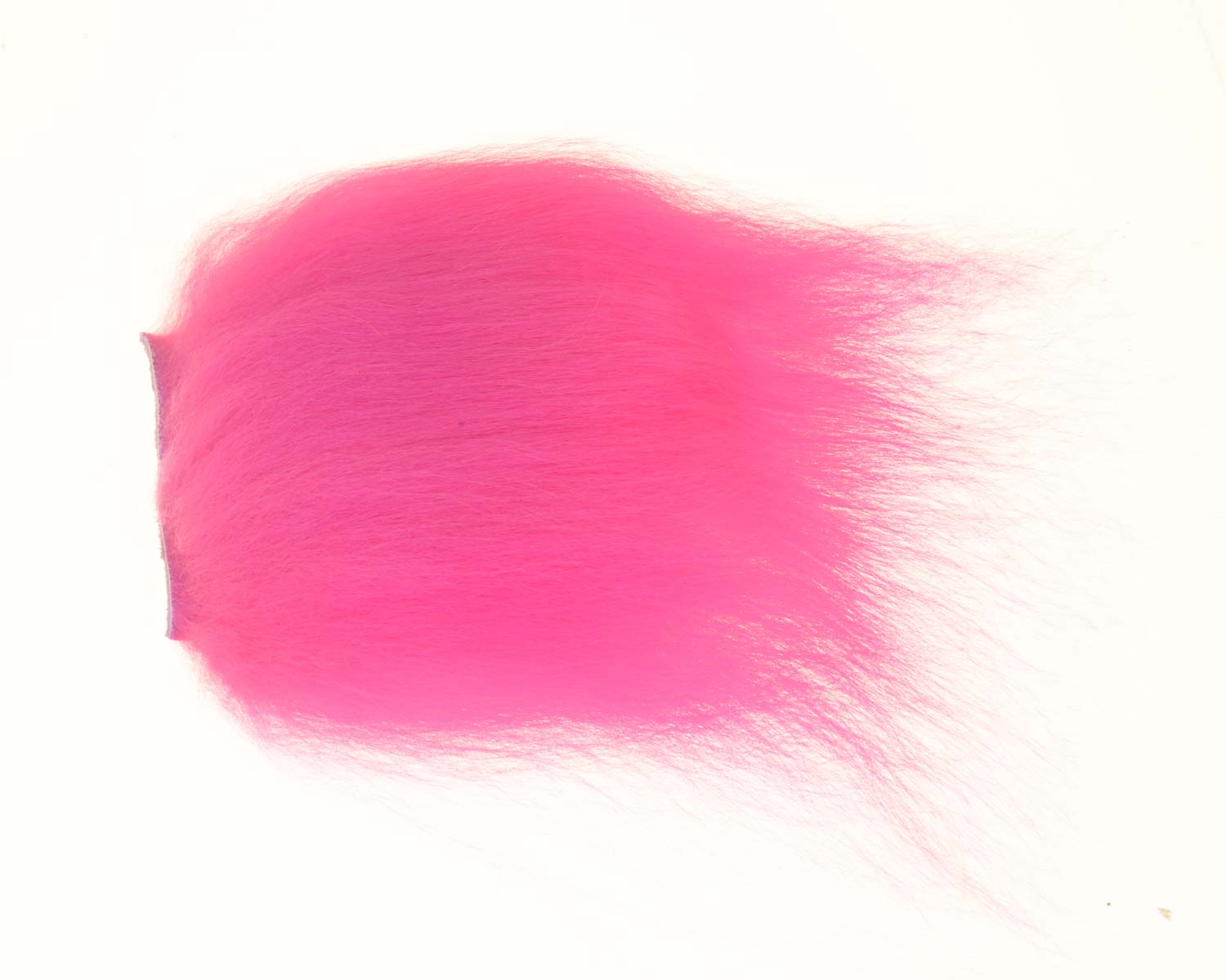 430516_web.jpg