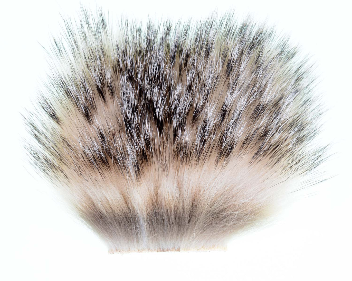 450600_web.jpg