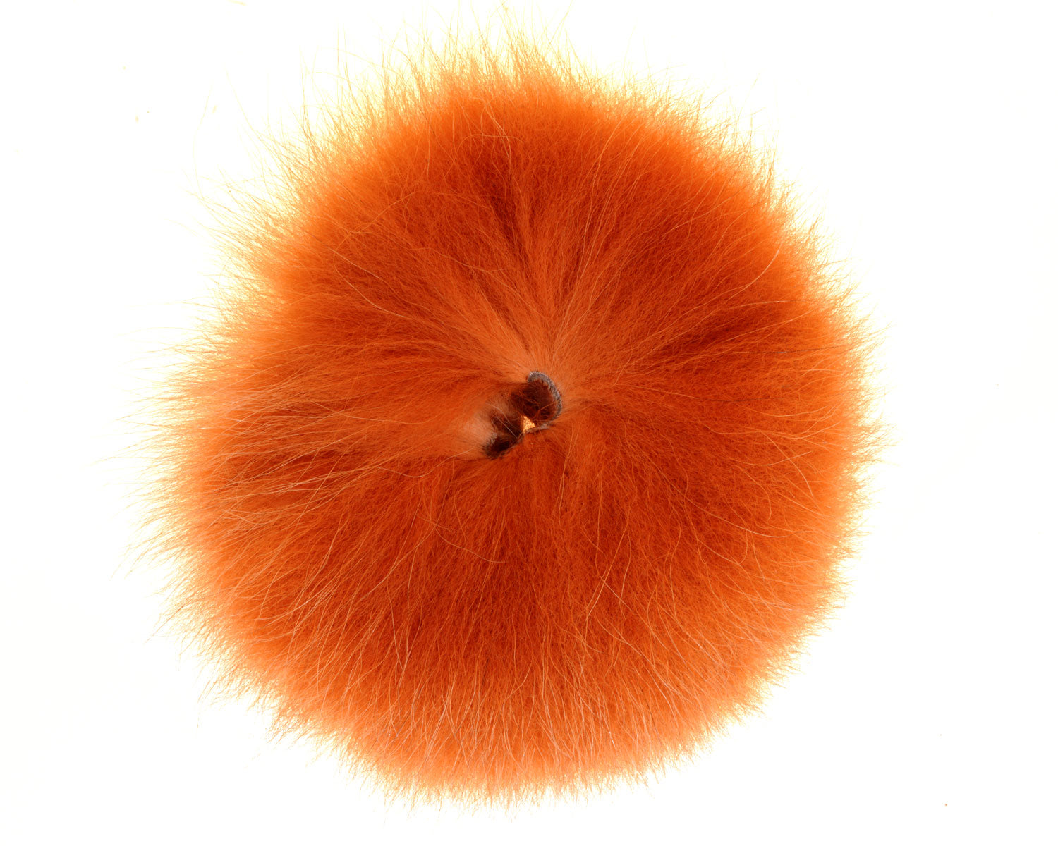 457539_web.jpg