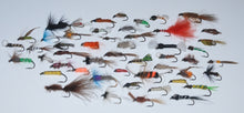 40 Associated Nymphs