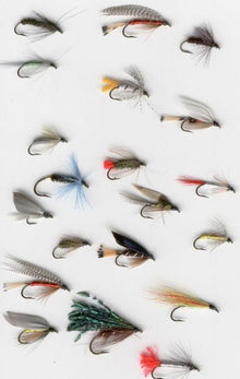 40 stk Assorterede Vådfluer