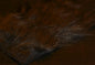 603001.jpg