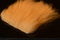 603047.jpg