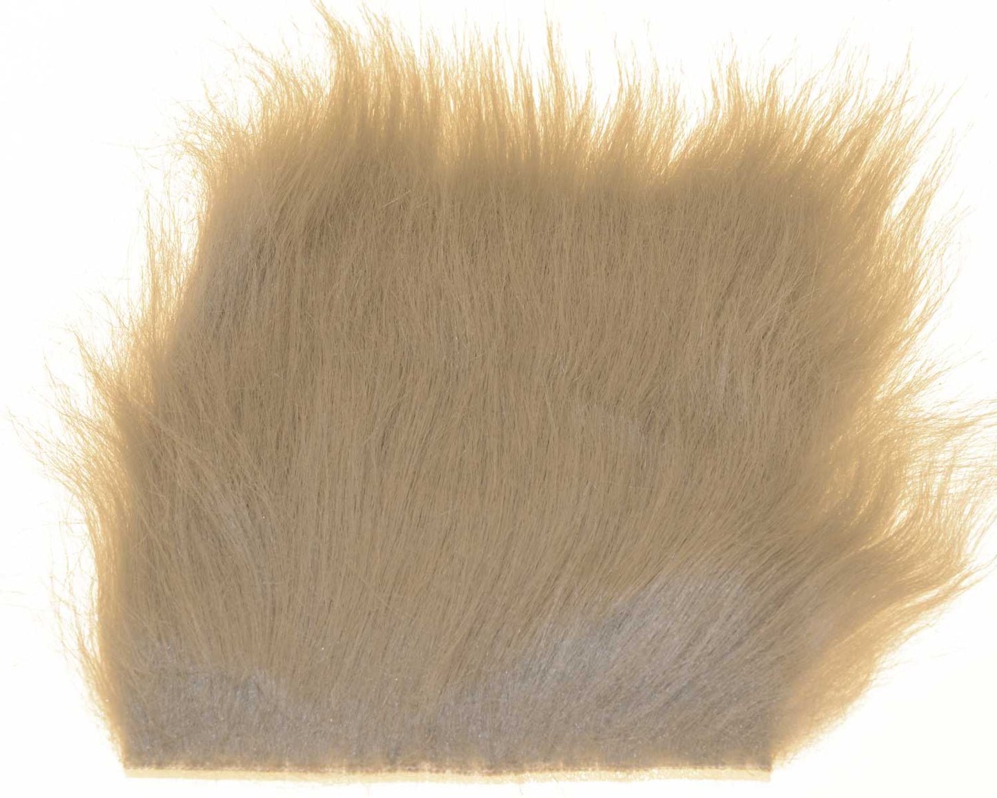 603318_web.jpg