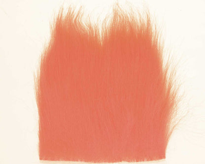 603368_web.jpg