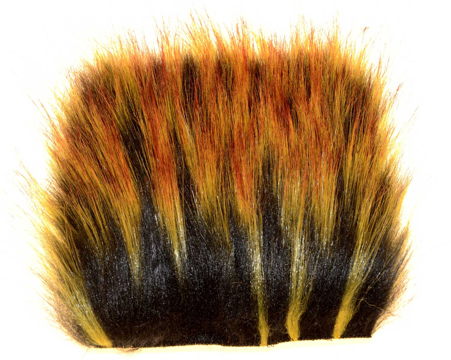 603401_web.jpg