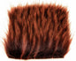 603422_web.jpg