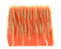 603510_web.jpg