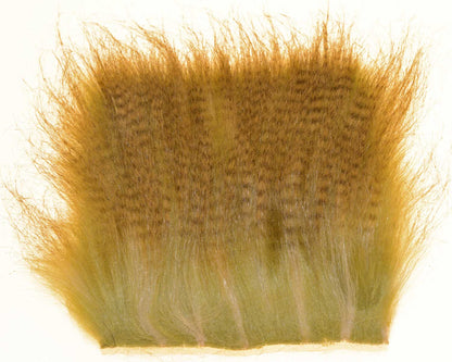 603532_web.jpg