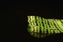 6766-11.jpg