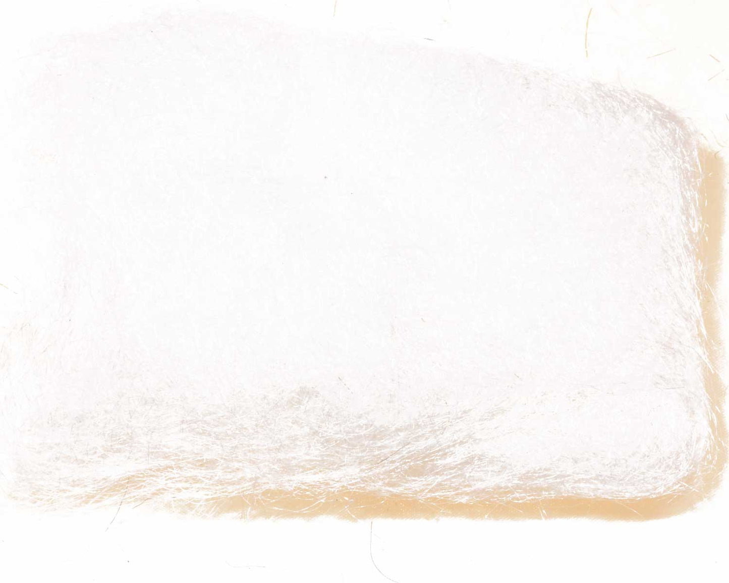 686502_web.jpg