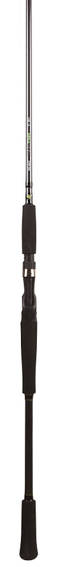 BFT Raptor G2 Pike Multi 8' -100g