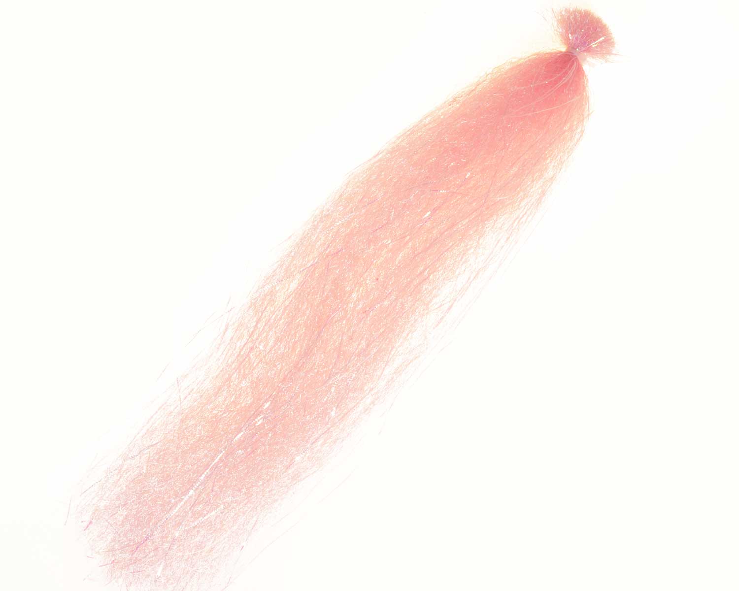 821116_web.jpg