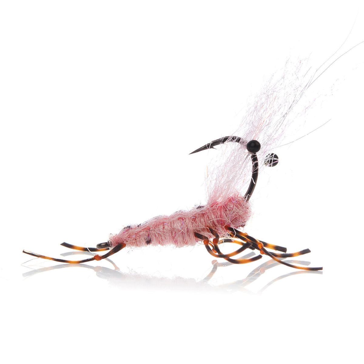 Honey Shrimp original #6