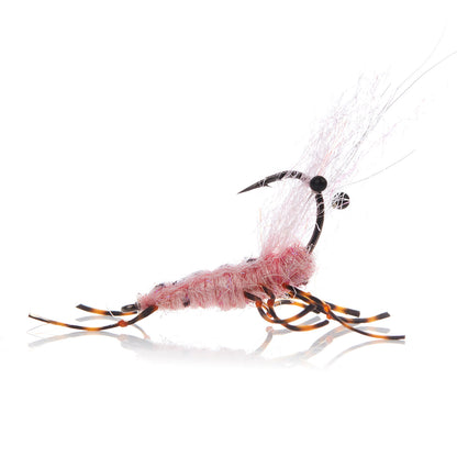 Honey Shrimp original #6