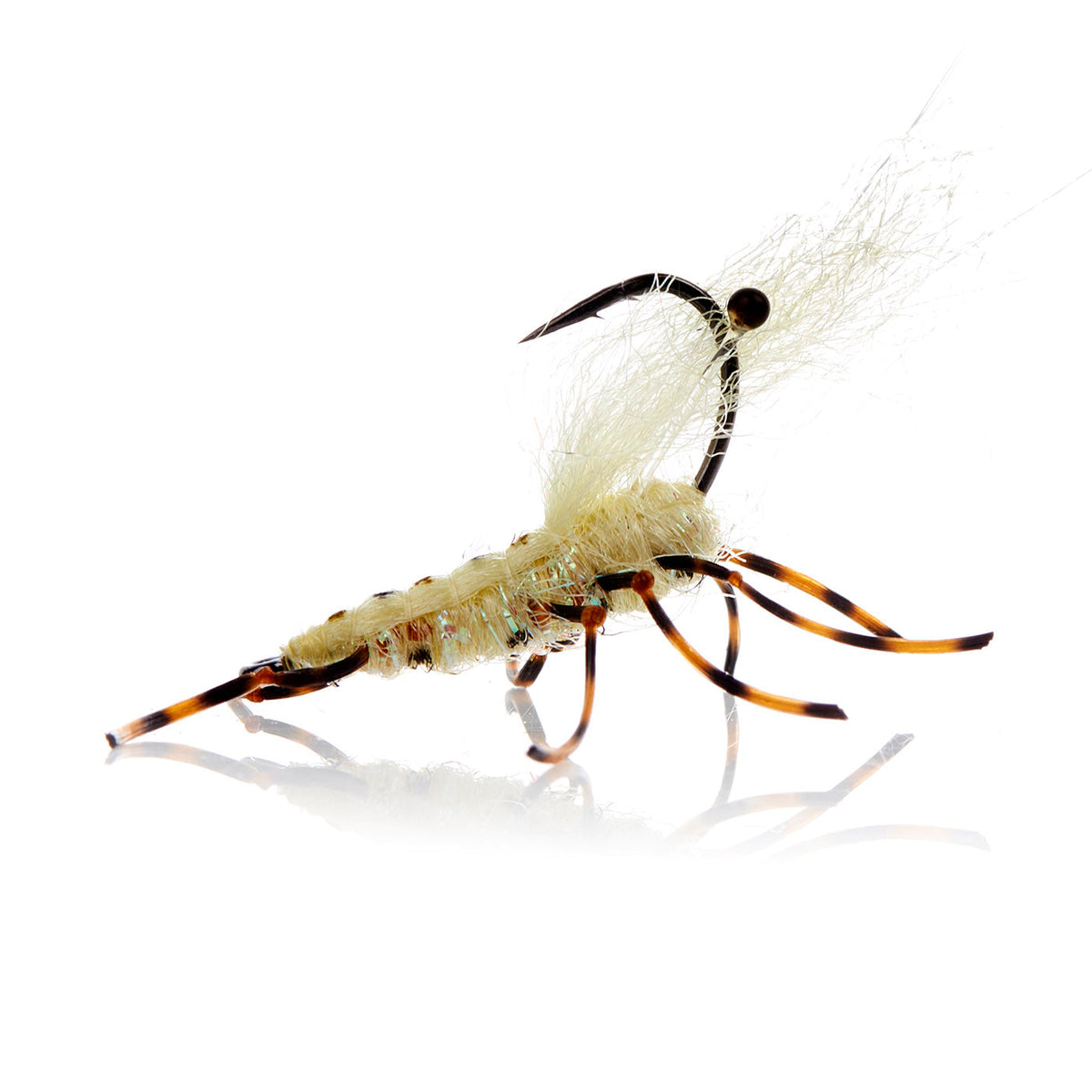Honey Shrimp original #6