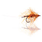 Honey Shrimp original #6