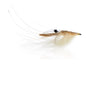 Honey Shrimp original #6