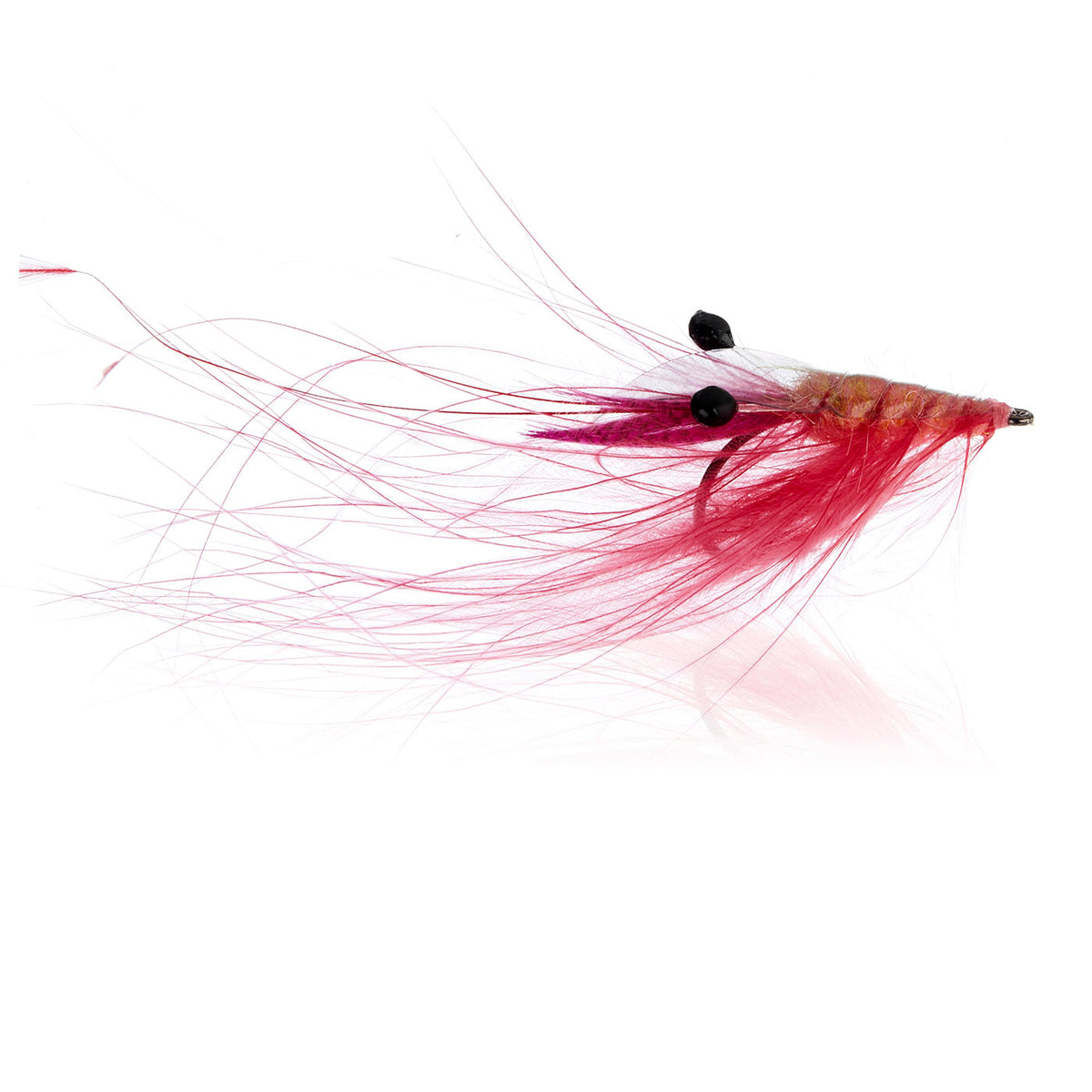 Honey Shrimp original #6