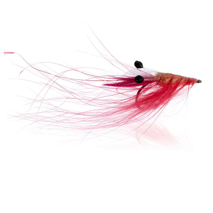 Honey Shrimp original #6