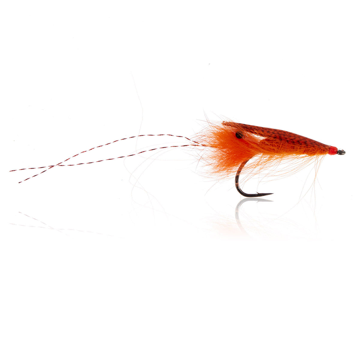 Honey Shrimp original #6