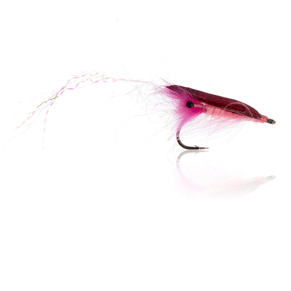 Honey Shrimp original #6