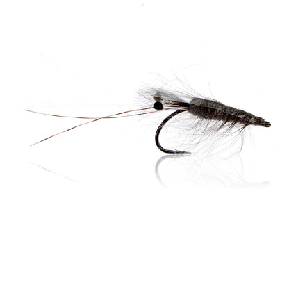 Honey Shrimp original #6
