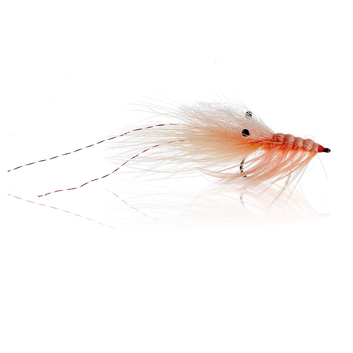 Honey Shrimp original #6