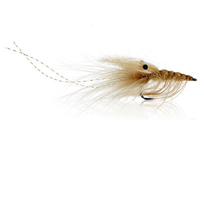Honey Shrimp original #6