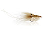 Honey Shrimp original #6