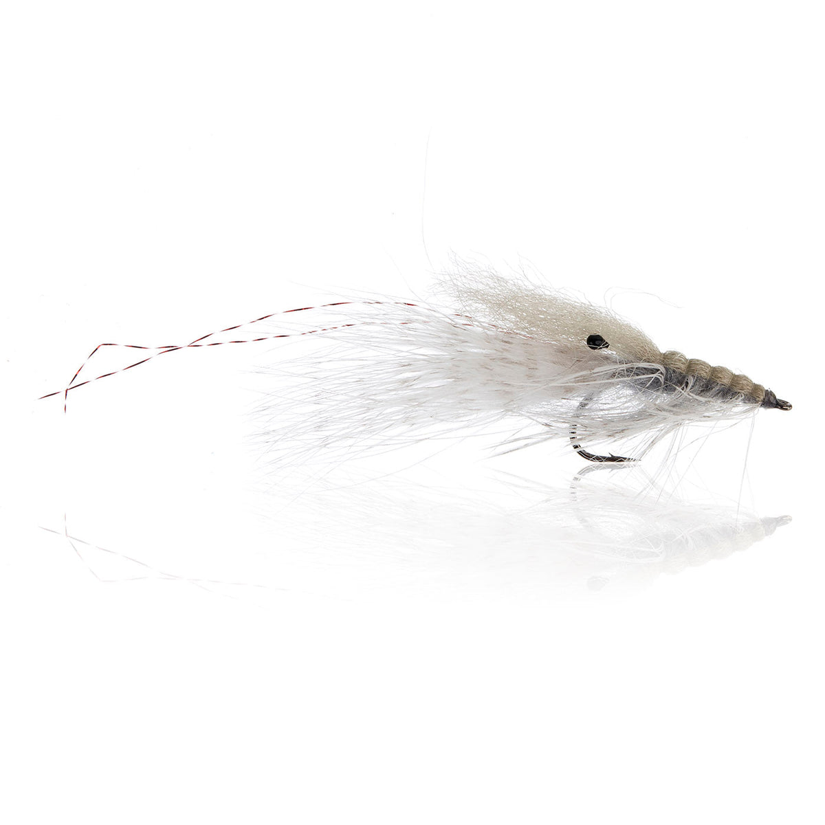 Honey Shrimp original #6
