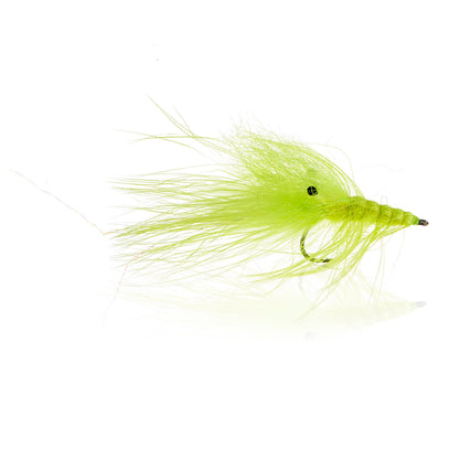Honey Shrimp original #6