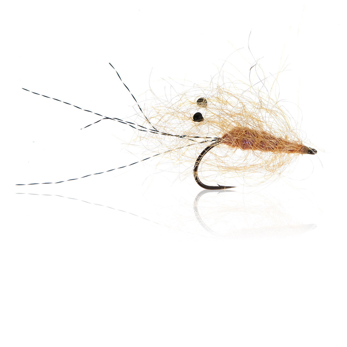 Honey Shrimp original #6