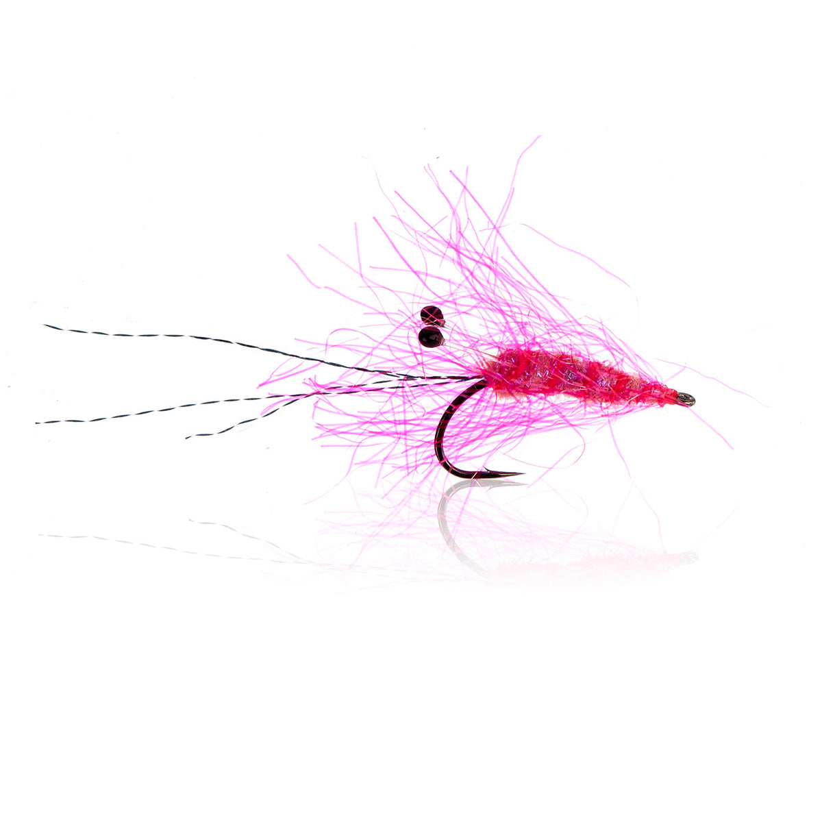 Honey Shrimp original #6