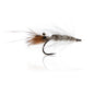 Honey Shrimp original #6