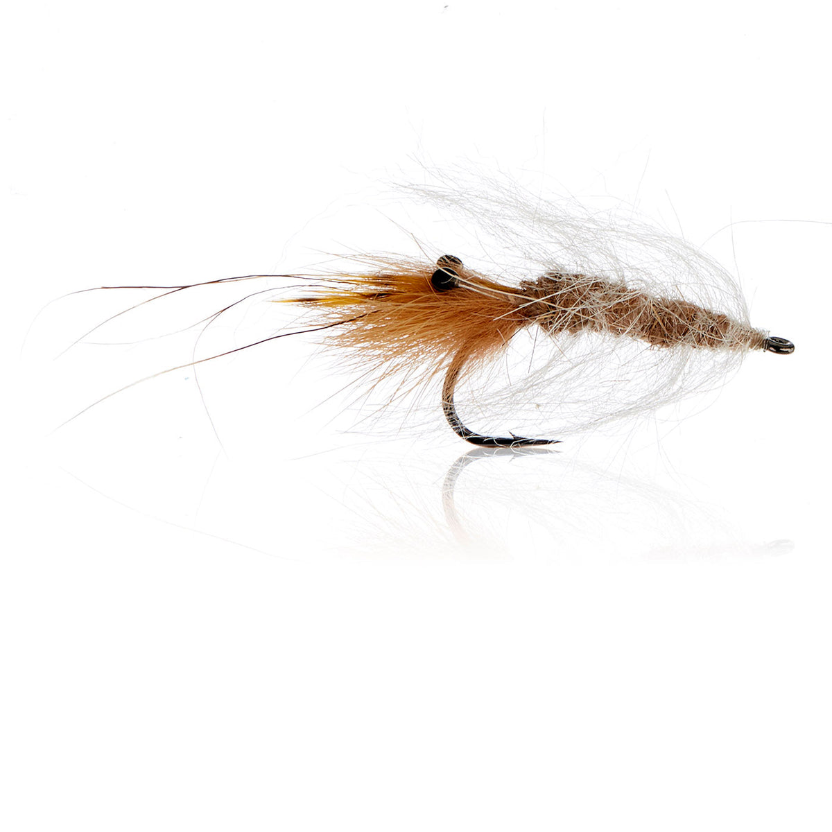 Honey Shrimp original #6